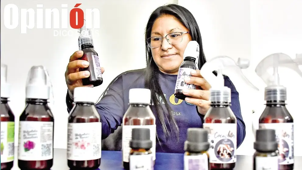 Eli Luizaga expone parte de la produccipon del Grupo Capullitos. / DICO SOLÍS