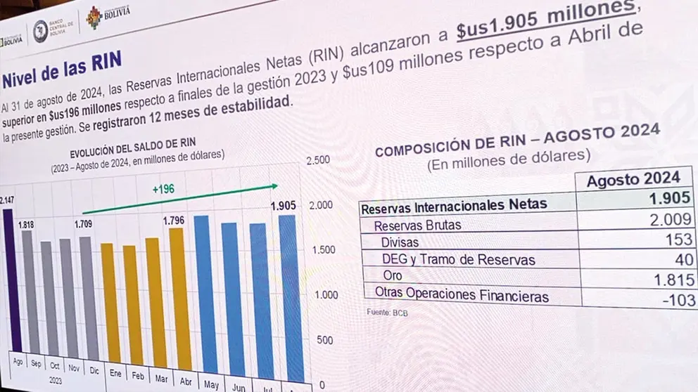 Los n&uacute;meros alentadores de las RIN hasta agosto./ ERBOL