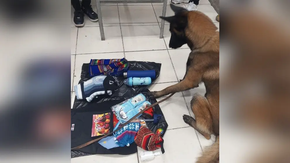 El can Isak se&ntilde;ala el contenido hallado con droga./ FELCN