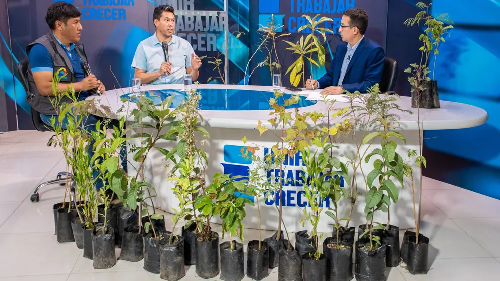 Representantes de la Gobernaci&oacute;n exponen plantines, durante una entrevista. GOBERNACI&Oacute;N