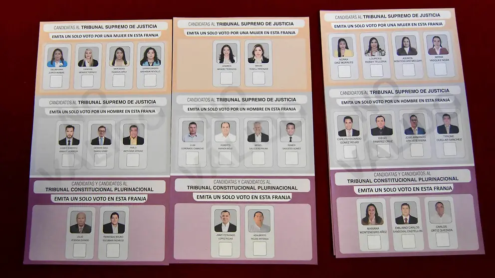 El TSE presentó las papeletas de las Elecciones Judiciales./ APG