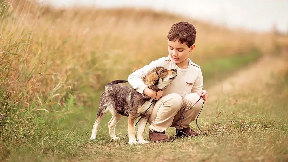 Los animales de compañía son fundamentales en la vida de los menores de edad./ AGENCIAS