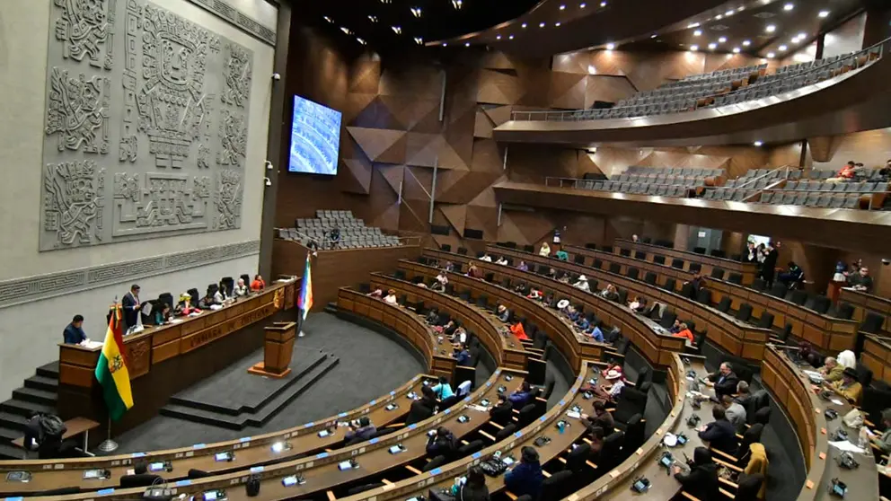 Sesi&oacute;n realizada en la C&aacute;mara de Diputados. APG