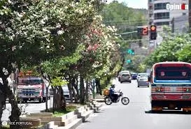 La jardinera de la avenida Hero&iacute;nas, en la ciudad de Cochabamba. CR&Eacute;DITO: ARCHIVO