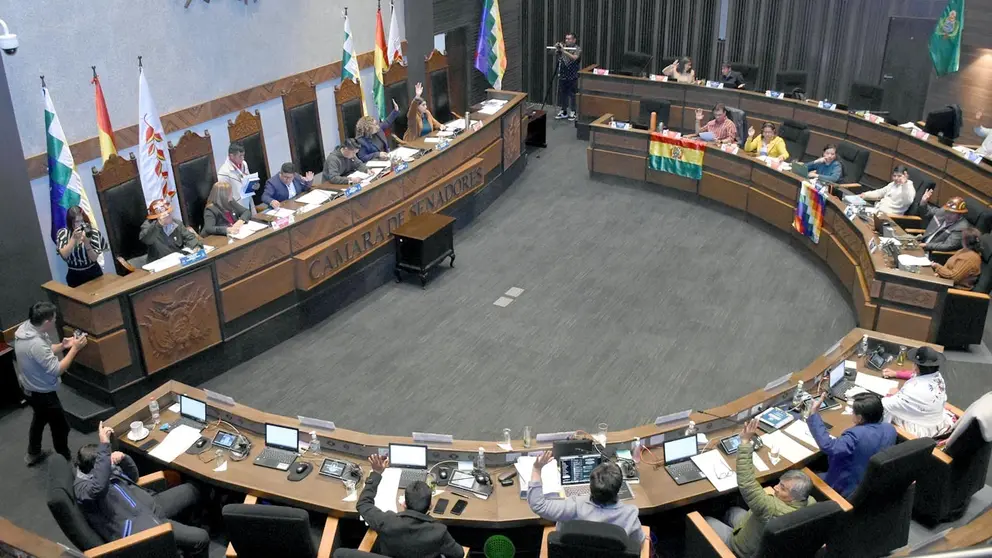 La C&aacute;mara de Senadores en sesi&oacute;n./ APG