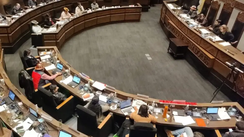 Sesi&oacute;n 36 de la C&aacute;mara de Senadores. C&Aacute;MARA DE SENADORES.