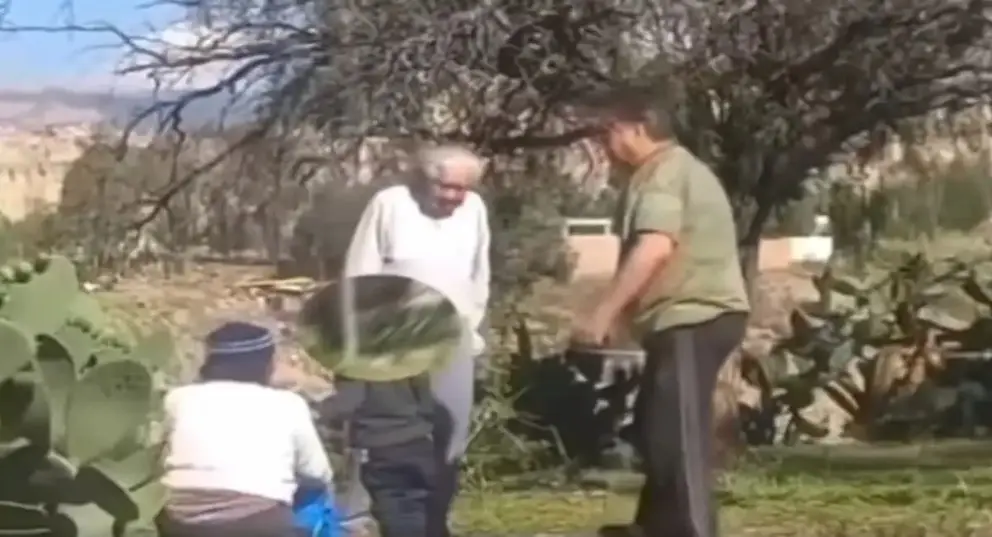 Sujetos agredieron a una se&ntilde;ora y su hijo por sacar tunas de un espacio p&uacute;blico en La Paz. RRSS.