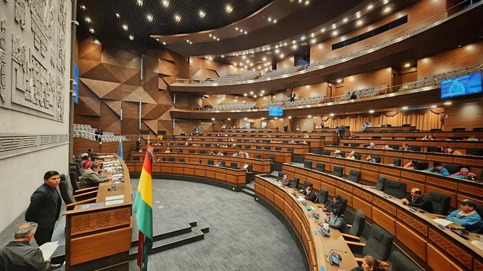 Sesi&oacute;n de la C&aacute;mara de Diputados para tratar cr&eacute;ditos./ C&Aacute;MARA DE DIPUTADOS