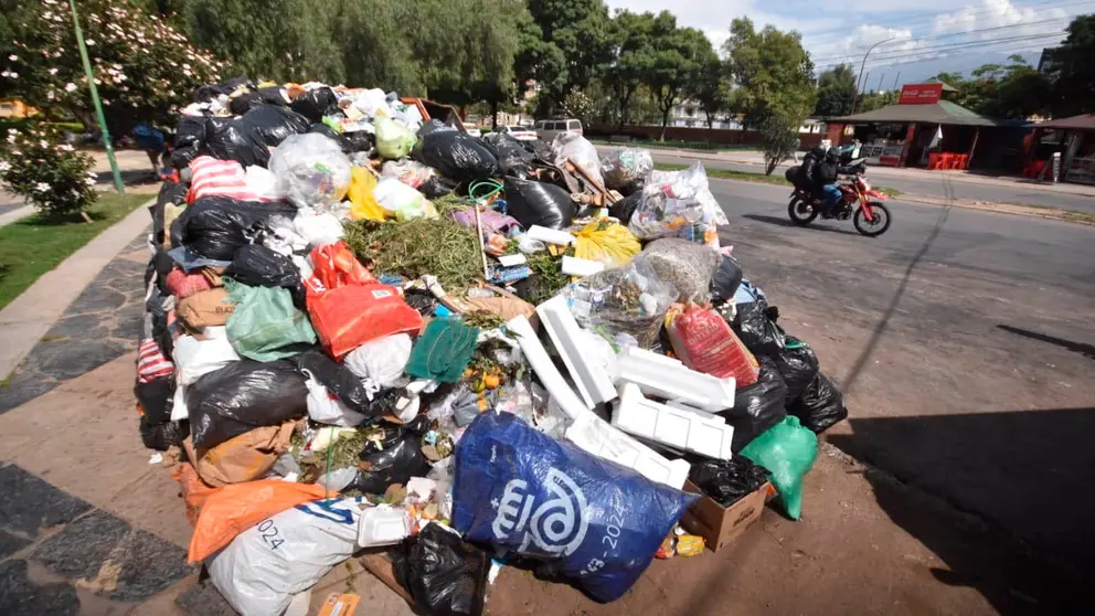 La basura colapsada en un punto verde de la ciudad./ DICO SOL&Iacute;S