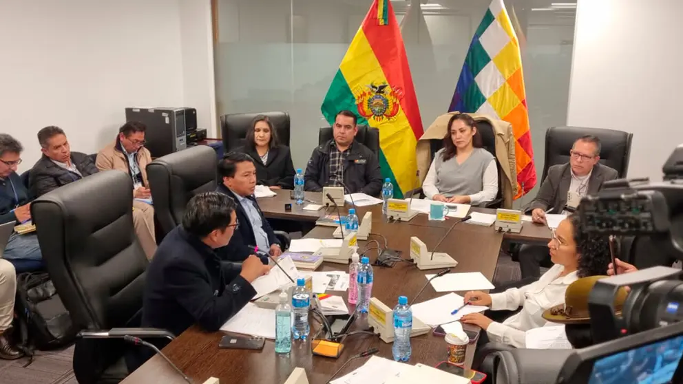 El vicepresidente del TSE, Francisco Vargas (c), brinda informe en comisi&oacute;n. ERBOL