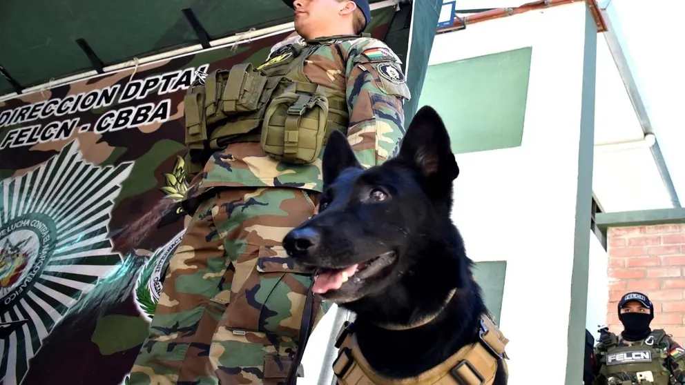 Tango, el perro detector de sustancias controladas./NO&Eacute; PORTUGAL