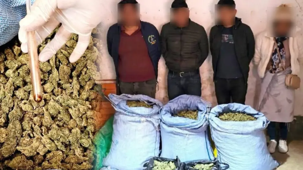 FELCN aprehende a cuatro personas en la zona sur de Cochabamba. FELCN
