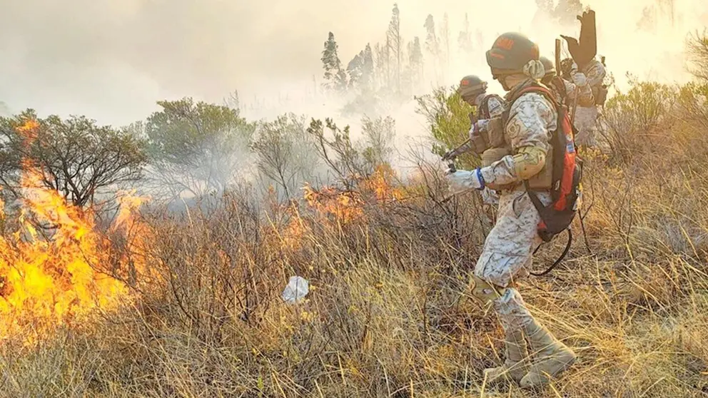 Una imagen referencial de bomberos forestales combatiendo un incendio. / APG