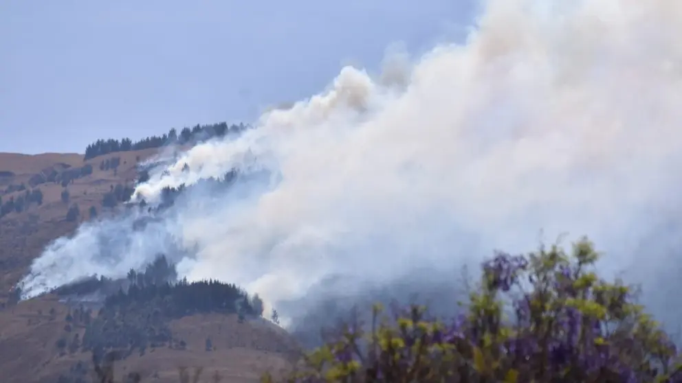Incendio de magnitud en el Parque Tunari. DICO SOL&Iacute;S