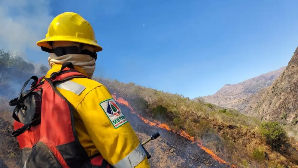 Un bombero combate el incendio en Toro Toro. PARQUE NACIONAL TOROTORO - SERNAP