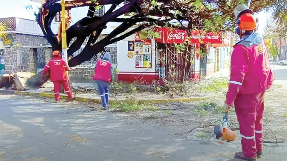 Los da&ntilde;os causados por fuertes vientos en Tarija./ ABI