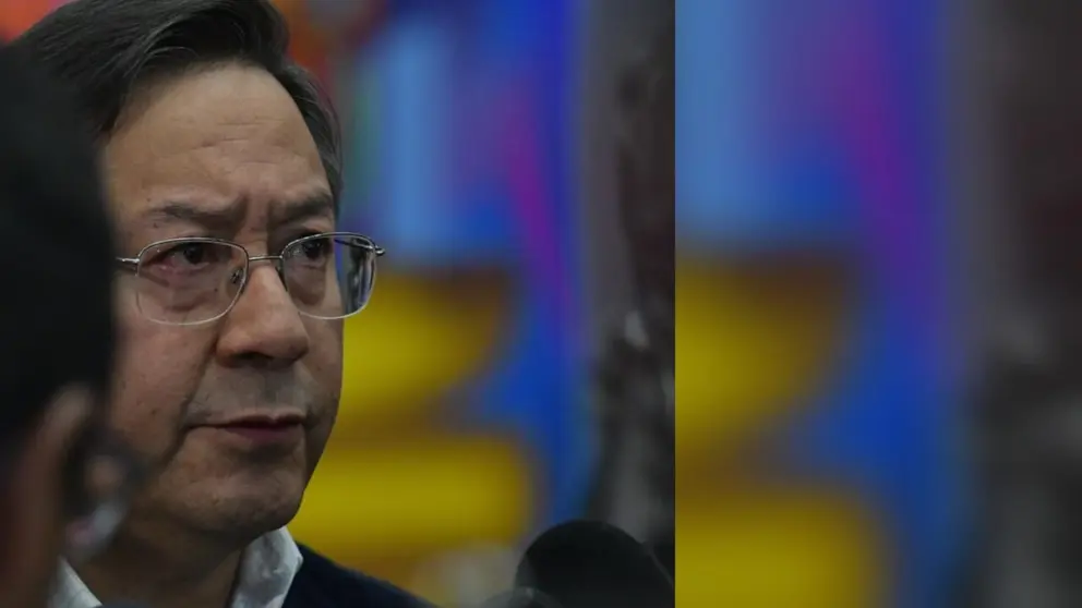 El presidente, Luis Arce. APG