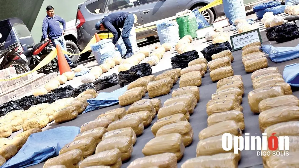 Droga incautada en operativos realizados por la FELCN. / DICO SOL&Iacute;S