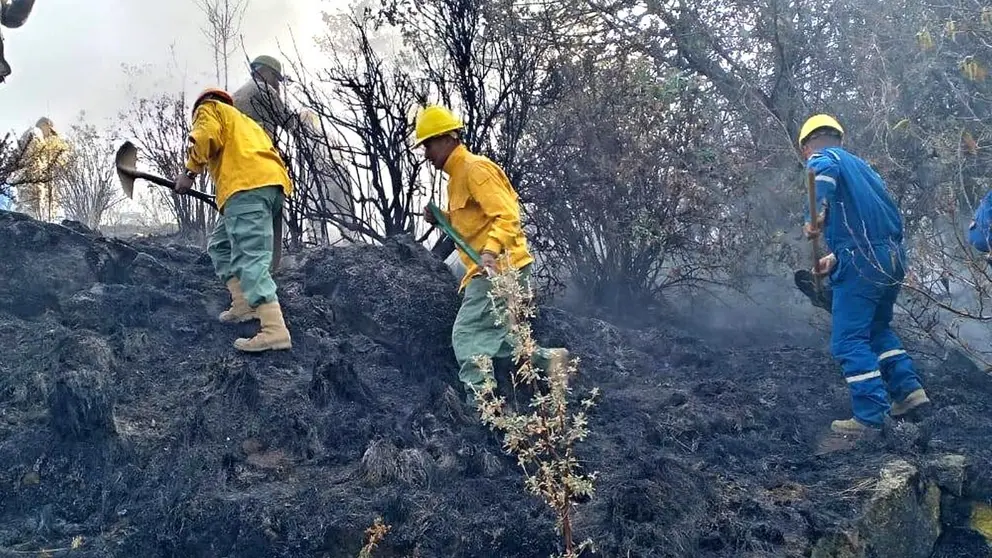 Efectivos militares sofocan un incendio. / Ministerio de Defensa.