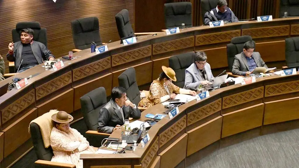 Sesión Ordinaria de la Cámara de Senadores./ APG