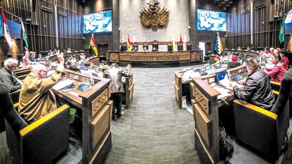 Los senadores, en plena sesi&oacute;n ordinaria./ C&Aacute;MARA DE SENADORES