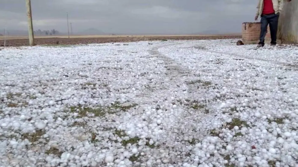 En Potosí las lluvias y granizos dejan más de 200 familias y al menos 140 hectáreas de cultivos afectadas./ ABI