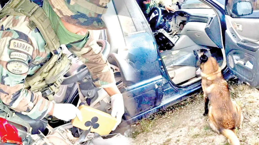 Isak, can antidrogas, descubre droga en tablero de un auto./ FELCN