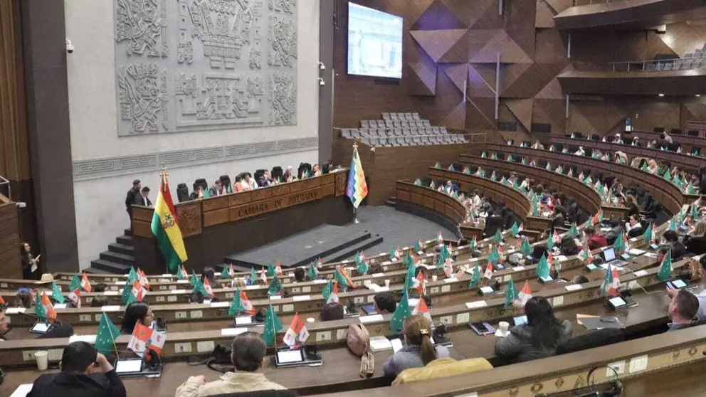 Sesi&oacute;n de la C&aacute;mara de Diputados. C&Aacute;MARA DE DIPUTADOS