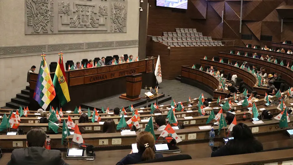 La sesi&oacute;n de la C&aacute;mara de Diputados, en esta jornada. CD