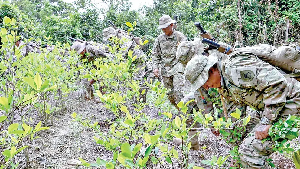 Soldados durante las tareas de erradicaci&oacute;n de plantas de coca.  / ABI