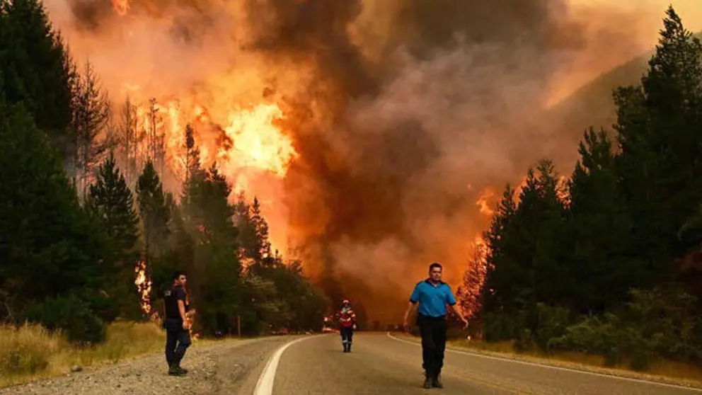 Incendios arrasan miles de hect&aacute;reas en Patagonia./ FRANCE 24
