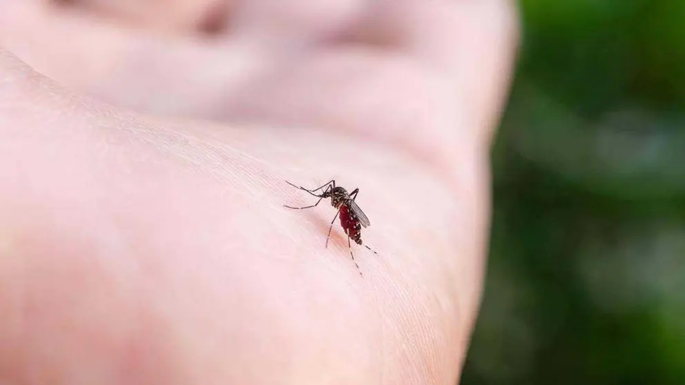 En siete departamentos del pa&iacute;s ya circula el virus de la chikungunya.