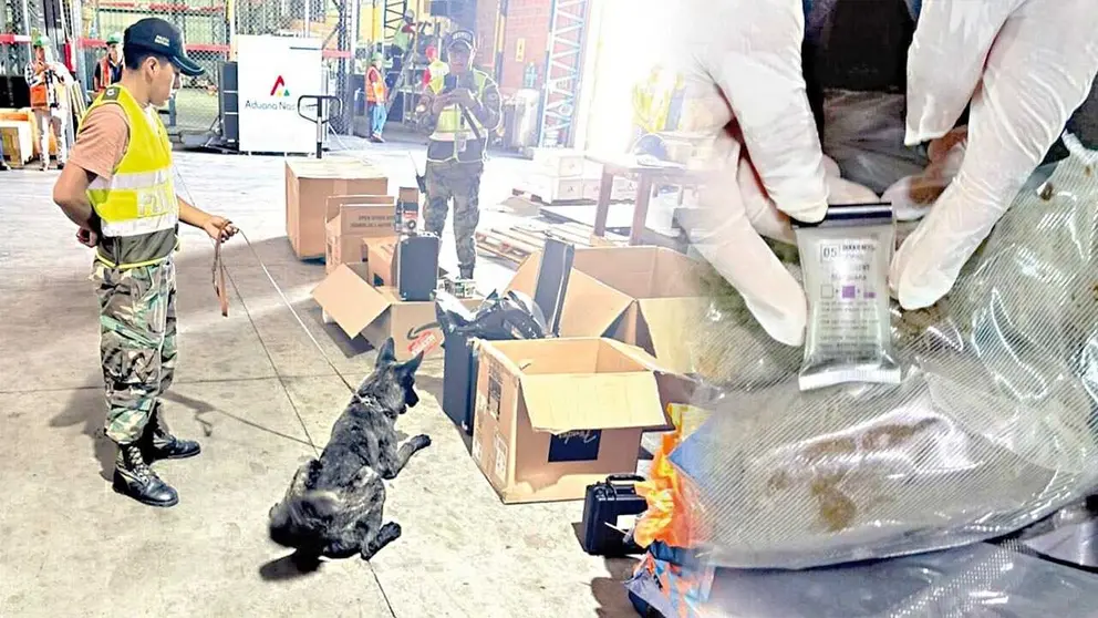 Quetzal, el perro antidrogas, da la alerta en Viru Viru./ FELCN