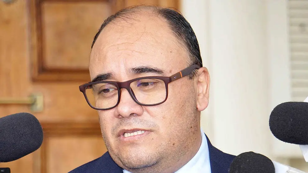El presidente del Tribunal Supremo Electoral (TSE), Gustavo Ávila./ APG