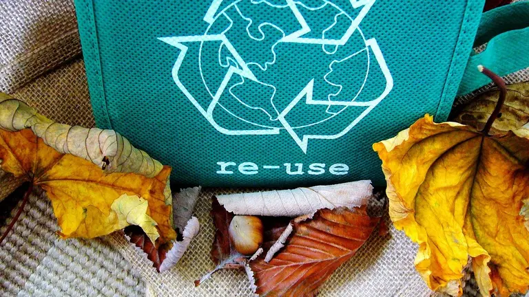 reciclaje-bolsa