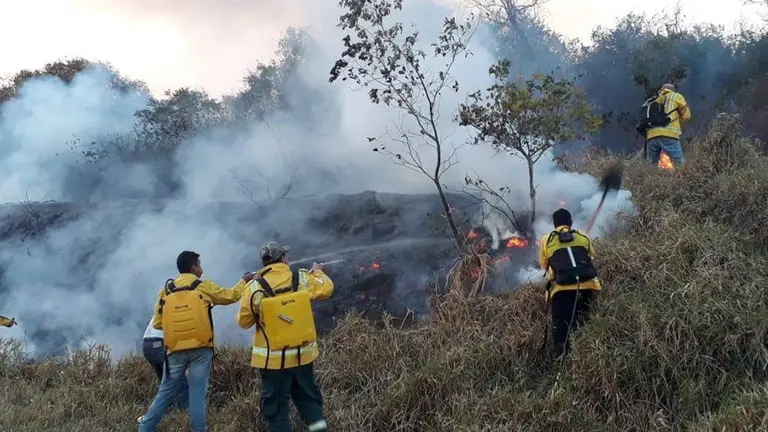 Incendios en la Chiquitan&iacute;a. Archivo