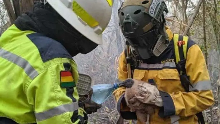 El voluntario Ernesto Fanor Nina Mamani, fallecido ayer durante labores de sofocaci&oacute;n en el Parque Nacional Tunari. RRSS