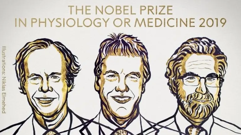William G. Kaelin, Gregg L. Semenza y Peter J. Ratcliffe | @NobelPrize