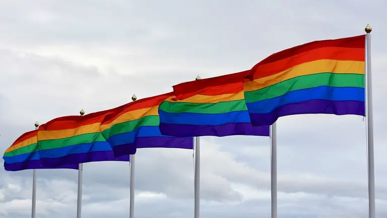 Imagen referencial de banderas LGBTI.