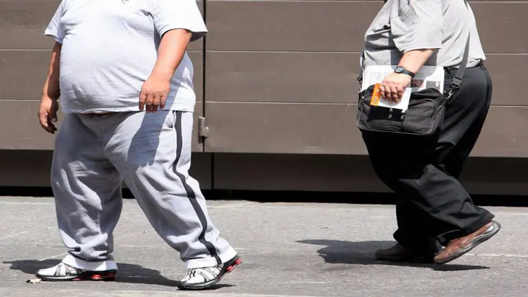 Los problemas de desnutrici&oacute;n y obesidad le cuestan millones de d&oacute;lares a los pa&iacute;ses de la regi&oacute;n, dijo la Comisi&oacute;n Econ&oacute;mica para Am&eacute;rica Latina y el Caribe (CEPAL). EFE