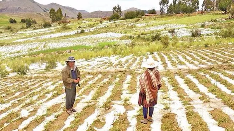 Imagen referencial de granizo en una regi&oacute;n rural de Cochabamba. Archivo