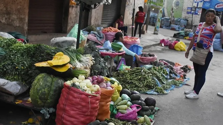 Una comerciante ofrece verduras y hortalizas en el mercado de la calle 16 de julio casi avenida Aroma. DICO SOL&Iacute;S