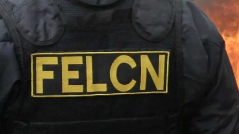 Imagen ilustrativa de un funcionario de la Fuerza Especial de Lucha Contra el Narcotr&aacute;fico (FELCN)
