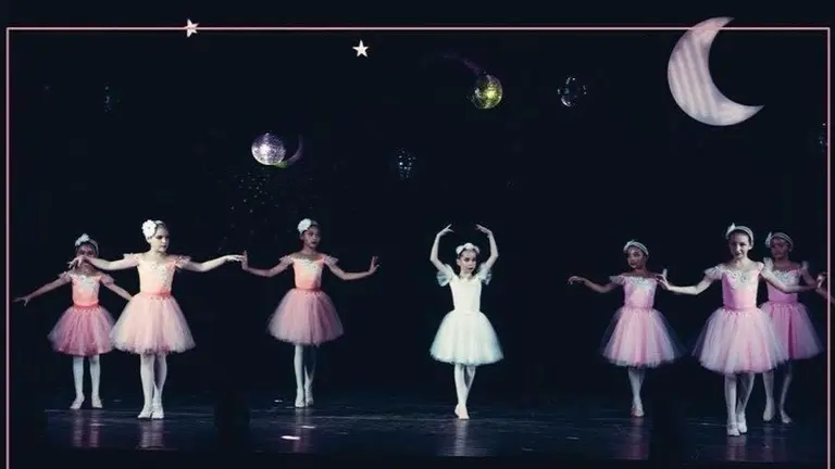 Imagen de una presentaci&oacute;n de Ballet Art.