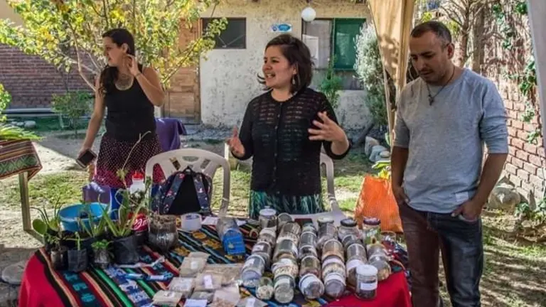 Trueque de semillas, evento de 2019. CORTES&Iacute;A