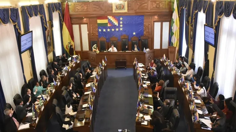 Sesi&oacute;n de la Asamblea Legislativa Plurinacional. APG
