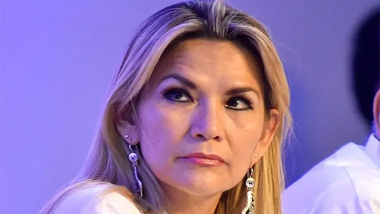Jeanine &Aacute;&ntilde;ez, cuando ejerci&oacute; en la Presidencia. ABI