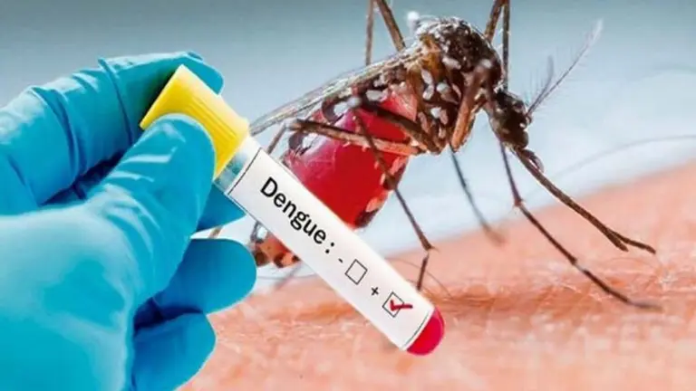 Imagen referencial del dengue