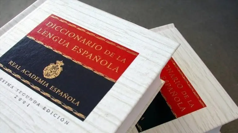 Diccionario RAE. EL PERI&Oacute;DICO