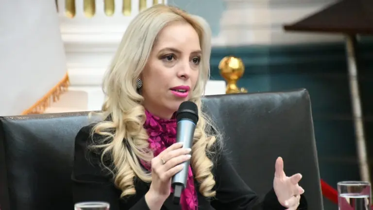 La viceministra de Comercio Exterior e Integraci&oacute;n, Claribel Aparicio.